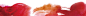 f9833e62f3c3bec698a1ee4e8470db2f2a0e69b22907f3-rafYp5