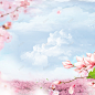 粉色桃花春季主图背景 蓝天白云 背景 设计图片 免费下载 页面网页 平面电商 创意素材