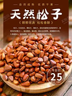 天然松子 【酷图网】健康食品,食品海报,农产品海报,农产品详情,农副产品,农产品主图,食品详情页,天然海报,原生态,天猫食品,店铺装修,原味,大米,精致,零食,农家,风味,土鸡,初生蛋番薯粉,开心果,松子,核桃海报,核桃首页,农产品详情页,淘宝详情页,宝贝详情,咸鸭蛋页面,农产品图片,舌尖上的中国,农村淘宝,