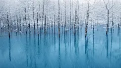 雪色下的蓝色静谧冰雨唯美风景高清壁纸