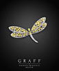 Graff Diamonds: Diamond Dragonfly Brooch: 