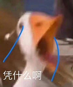 诡计多端的lin采集到表情包