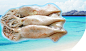 东海海鲜 象山特产 鱿鱼   微海汇