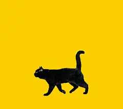 kuroneko_SP_1080_960_c宅急送黑猫壁纸手机