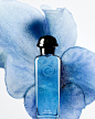 Flowers and Fragrances | FMA Le Bureau