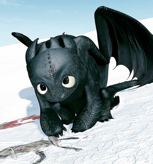 没牙仔龙的礼物驯龙高手无牙