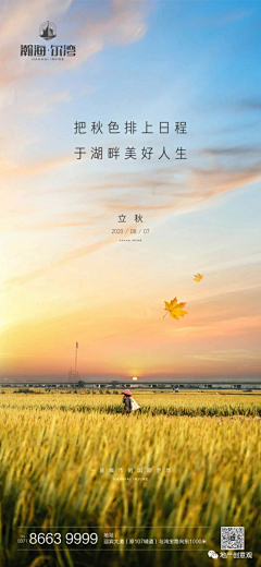 在远山上采集到节气