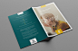 InfoBrochure Template : The InfoBrochure indesign template is a brochure with space to give a little extra information about your company, some facts and figures and maybe some infographics too