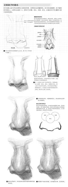 冬夏年华采集到学习