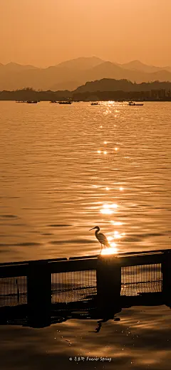 007KWUI0ly1ha4hdnb4blj31ua3zkx6r.jpg (2386×5168)