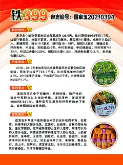 玉米大画  - 源文件下载【酷图网】玉米大画,玉米海报,玉米传单,玉米报纸,玉米宣传,种业玉米大画,玉米棒,铁399