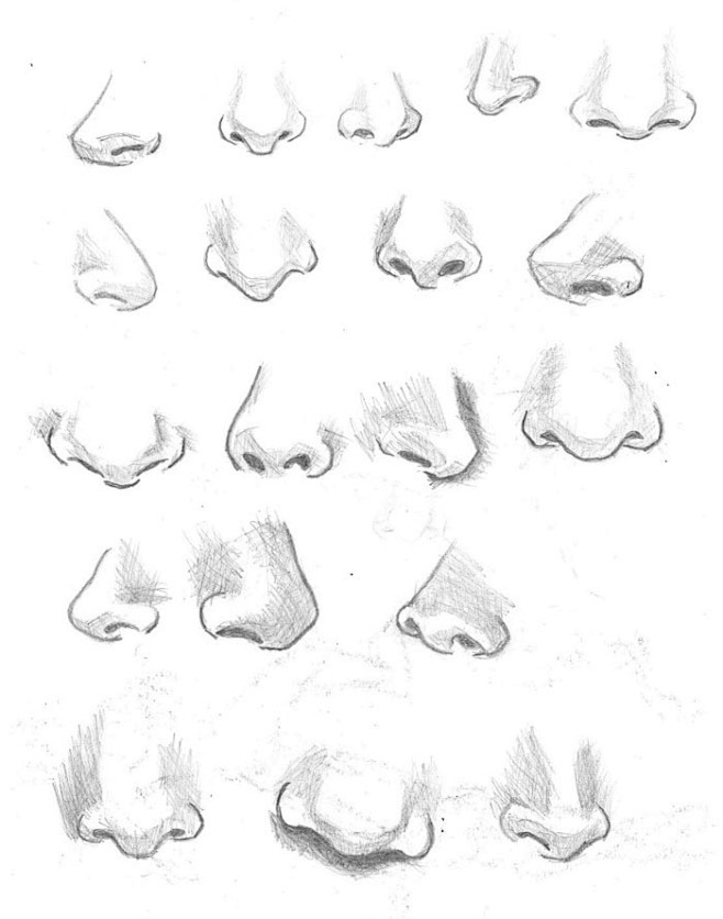 female_nose_studies_...