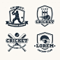棒球俱乐部logo标志矢量图素材