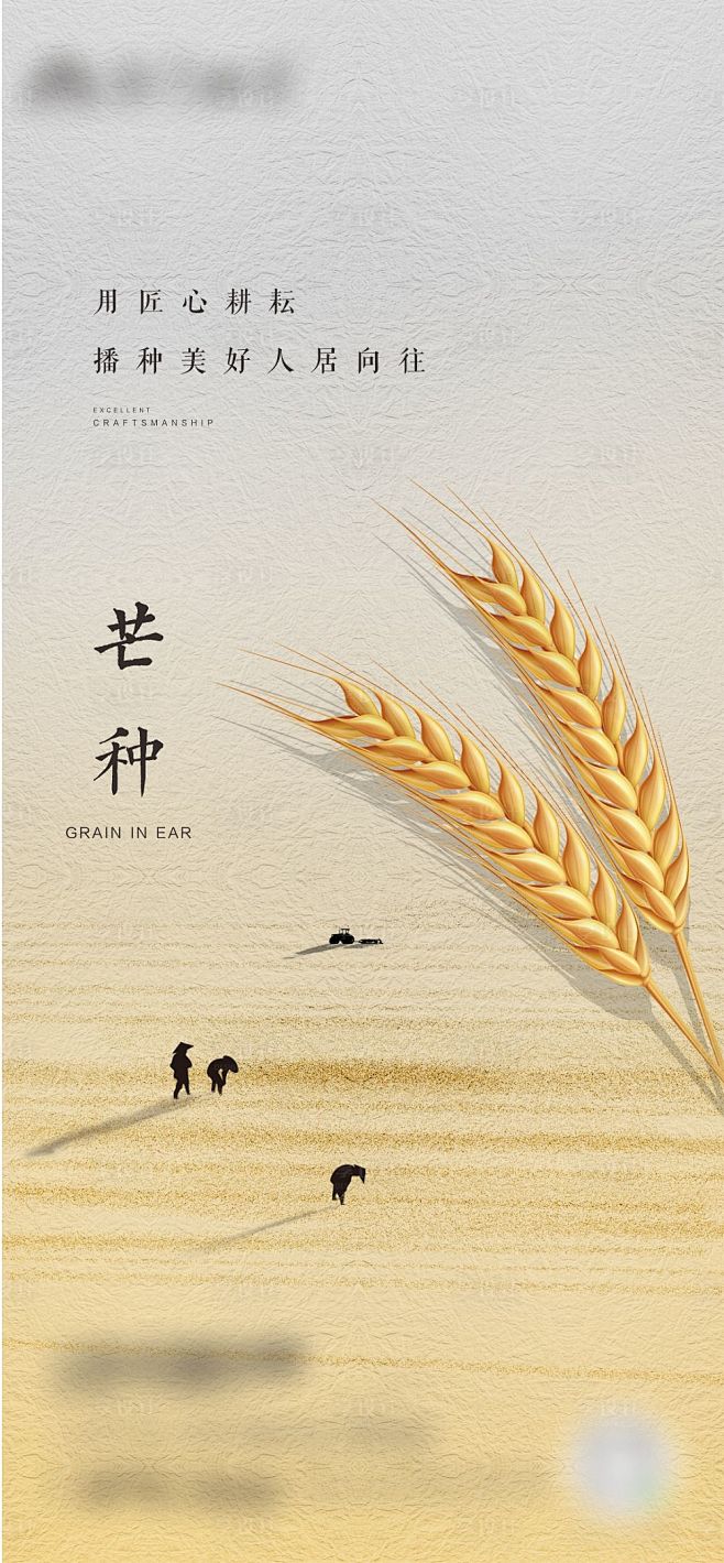 芒种海报-源文件