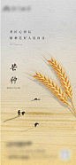 芒种海报-源文件