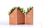 Coco Fiori “Share Collection”