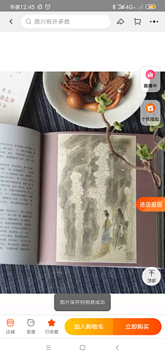 LllI1Whu采集到{艺术}红楼梦插画课素材
