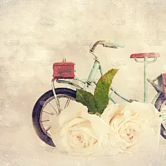 带玫瑰花的自行车玩具。礼物送给妈妈。