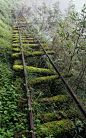 Get down and dirty with some Abandoned Porn (37 Photos) : If you ask me, these forgotten places and things are more beautiful than the day they were built.