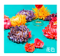 首页-妖精的口袋旗舰店-天猫Tmall.com