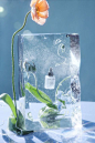 (90) Pinterest