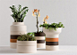 Postfossil’s Torre Pot grows with your plants