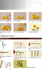 #刺绣##刺绣教程##刺绣针法##刺绣图案##刺绣参考图##国外刺绣##欧美刺绣##日本刺绣##传统刺绣##手艺针线##刺绣图文教程##刺绣书籍##刺绣图解##刺绣历史##刺绣资料##设汇##设汇素材网##设汇设计#https:::www.shehui123.cn英国风立体刺绣 (45)