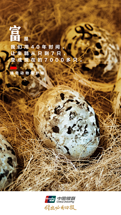 郭同涛Ttao采集到海报