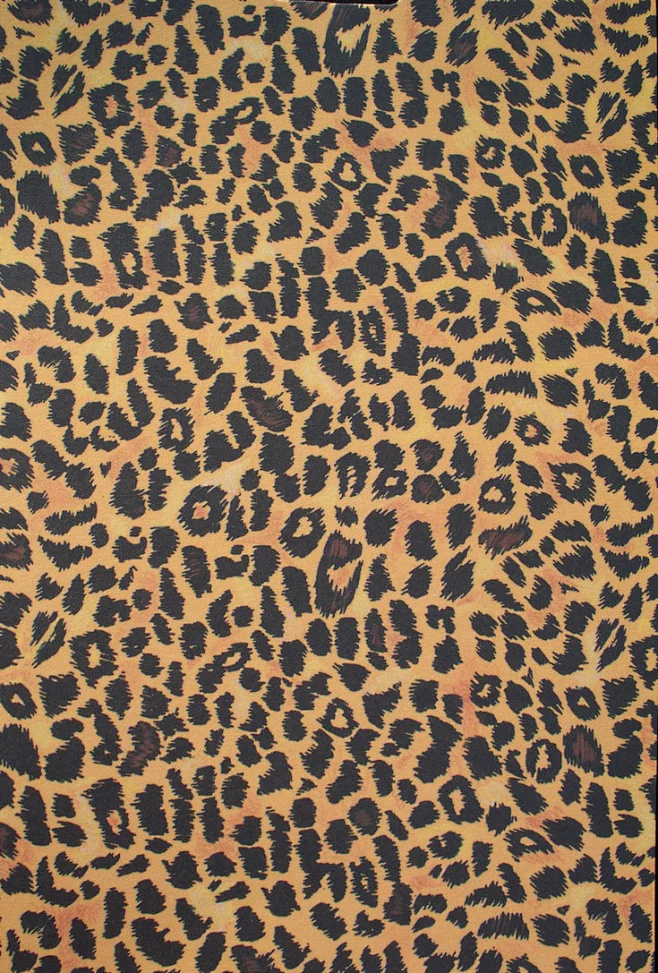 Leopard by ~Penny-Stock on deviantART图片_材质图片素材-花瓣网