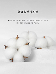 多彩3949采集到棉花