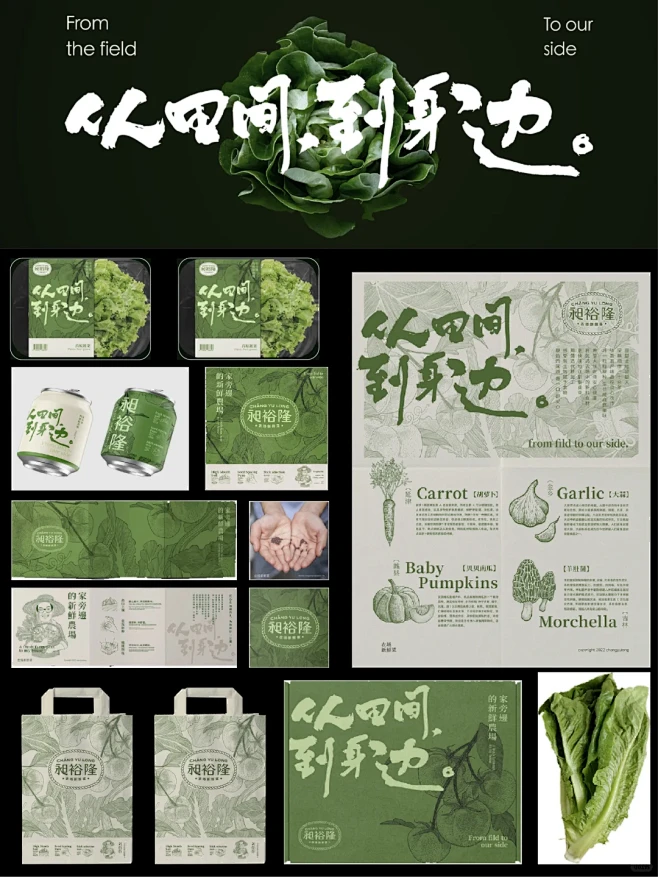 绿色蔬菜品牌包装设计 | 农产品vi设计-花瓣网