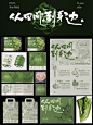 绿色蔬菜品牌包装设计 | 农产品vi设计