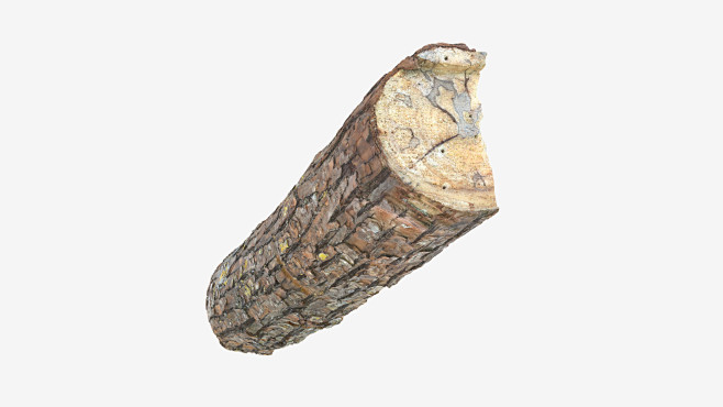 Log Pine, realnothin...