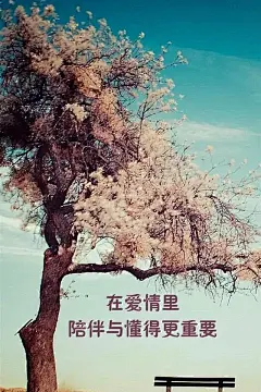 非主流风景手机壁纸