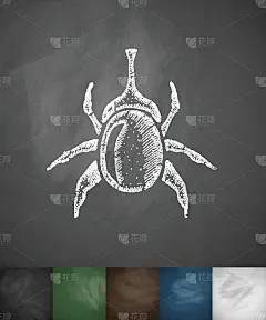 甲虫图标。手绘矢量图