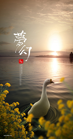 飞鸟与渔采集到海报-每日海报、合作图片