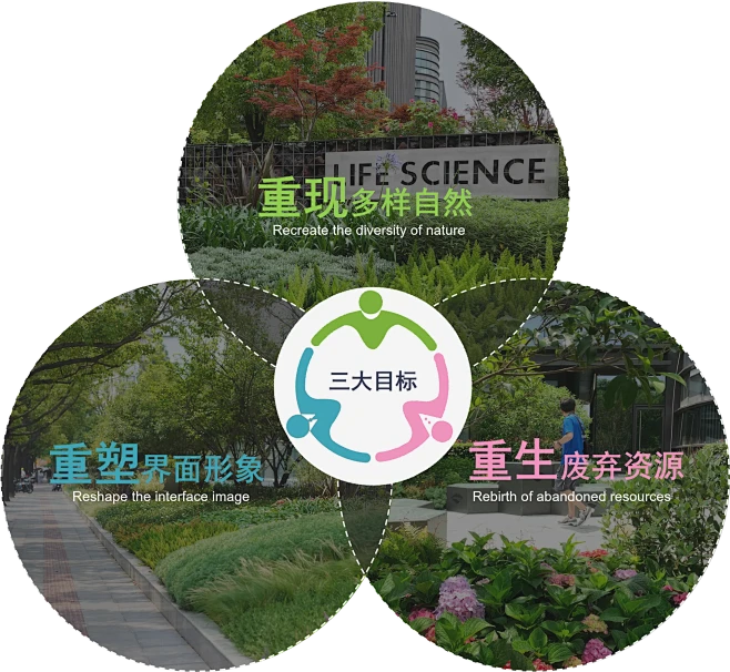 bio HILL 生命元山：存量更新背景...