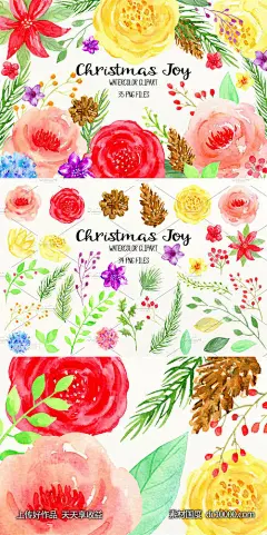 鲜亮喜庆的手绘彩色花卉松果插画 Watercolor Clipart Christmas Joy-源文件-素材国度dc10000.com
