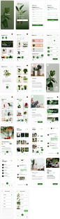 园林植物电商app ui .fig素材下载 - 豆皮儿UI