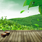 绿色茶园茶叶PSD分层主图背景 茶园背景 摄影照片 设计图片 免费下载 页面网页 平面电商 创意素材 png图片