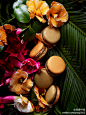 #悦食见闻#殿堂级甜品品牌Pierre Hermé Paris来到香港后，计划每月推出一款全新田园系列马卡龙。而其中最独特的，是四月将面世的Jardin des 8 Trésors这款，选用的是中国传统的八宝食材：莲子、红枣、枸杞、玫瑰花蕾、陈皮、龙眼干、菊花和桂花，据说是以传统八宝茶为创作灵感……http://t.cn/8soKG6k