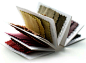 Natural dye swatch book | Pinked edges & concertina folding |