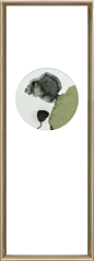  挂画  挂画贴图  张猛  (1111)