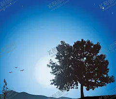 夜景 【酷图网】夜景,湖景,树木,山水插画,树林剪影,矢量夜景,卡通夜景,手绘夜景,夜景插画,夜景背景,星空背景,天空,天空背景,天空插画,夜空背景,夜空插画,夜晚,夜晚背景,月球,月亮,矢量月亮,卡通月亮,手绘月亮,月亮插画,乌鸦,乌鸦剪影,植物,矢量植物,植物剪影,花草剪影,草丛剪影,场景插画,小鸟,蓝色背景