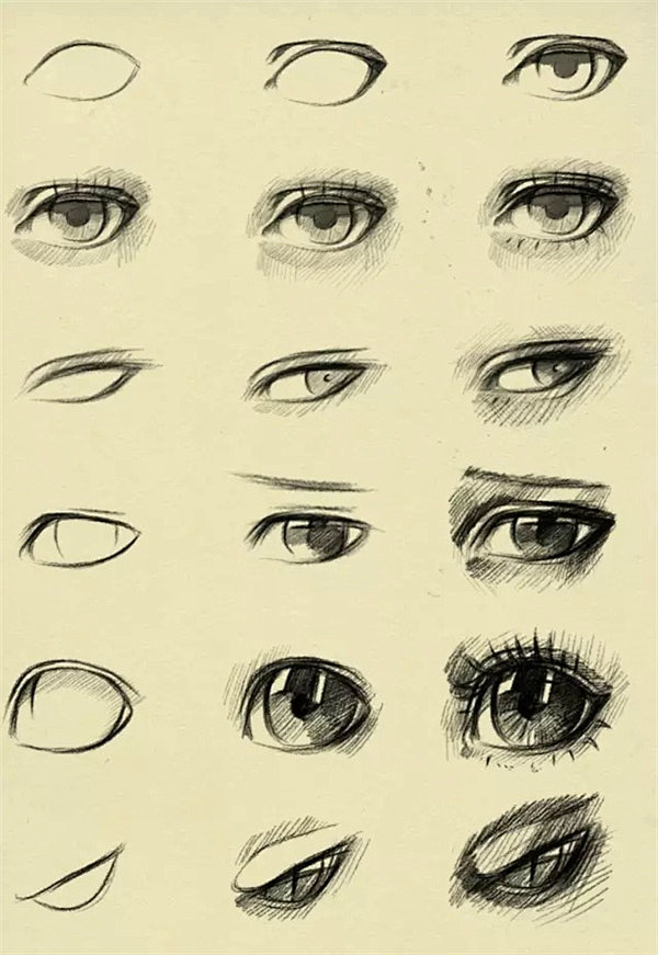 眼睛