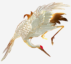 我永远喜欢蔡居诚采集到珠宝