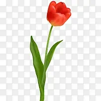 红色卡通花朵一枝花