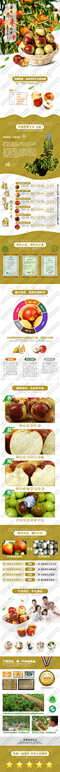 冬枣详情页面