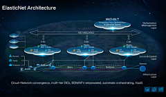 hrwpx采集到蔷薇