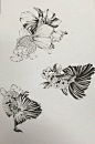 传统 金鱼白描法 来自中国书画诗词院 - 微博